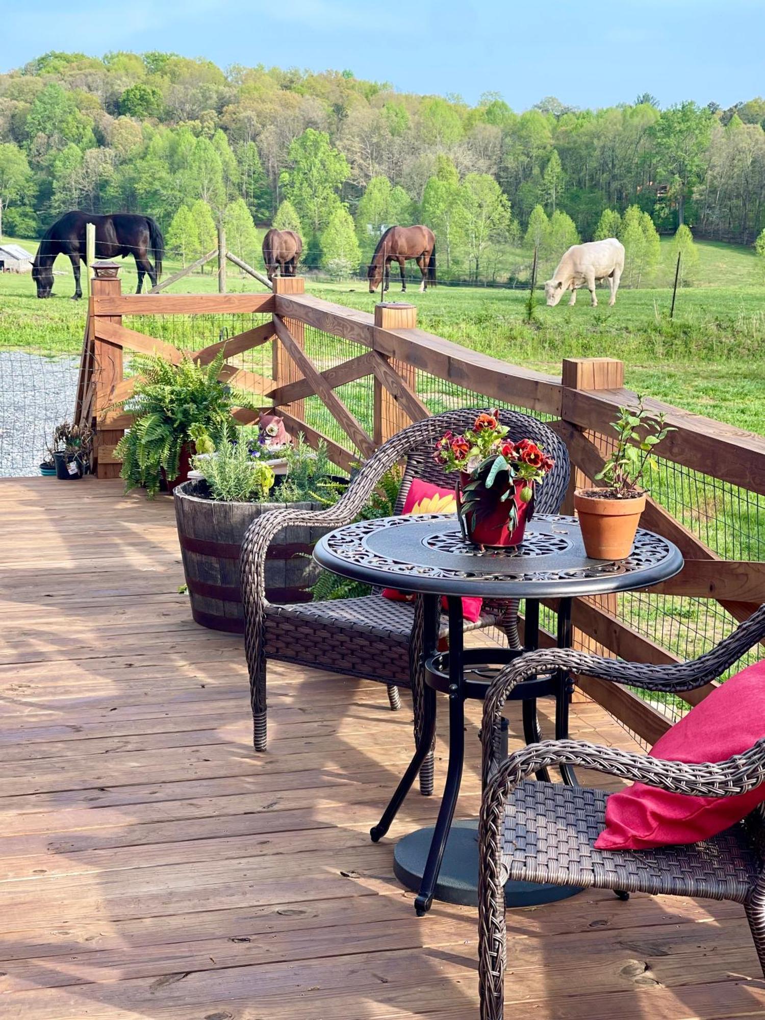 The Dogwood Inn Blue Ridge Εξωτερικό φωτογραφία